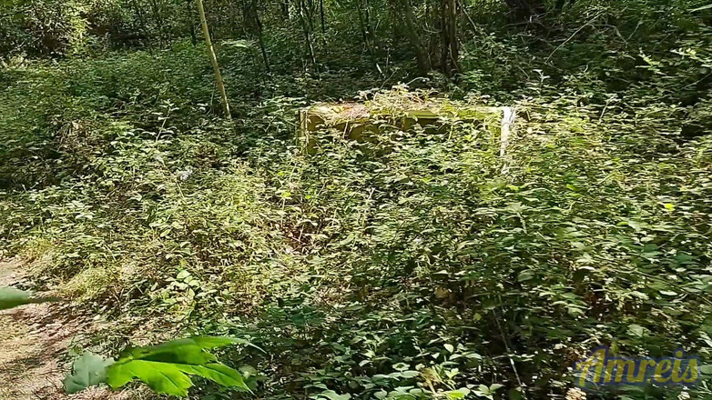 Amreis: I Found a Place to Cum Outdoors in the Forest