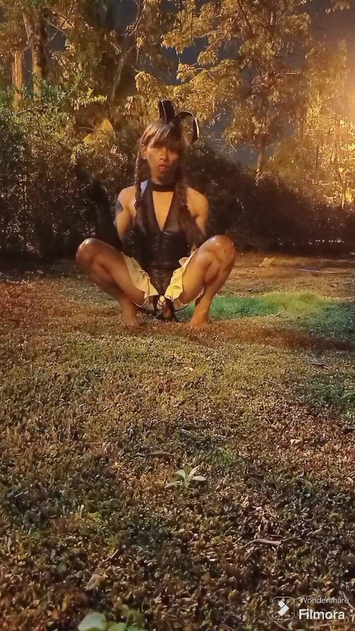 Menaiisd: Kelinci kecil di taman