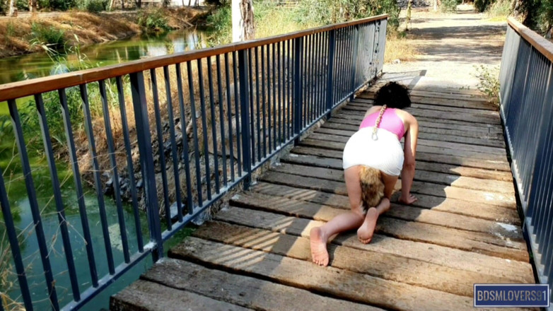 Bdsmlovers91: Slutty Kitty Walking at the Park - Colored Version