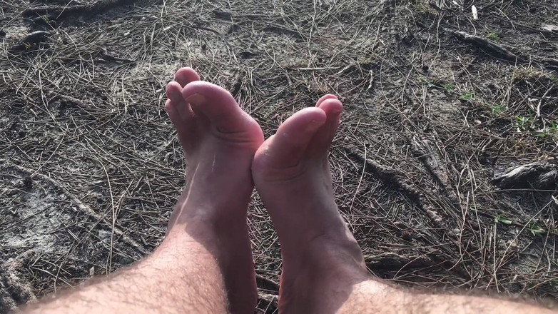 Manlyfoot: कृपया मुझे बहुत सारे पैरों के साथ गम के पेड़ों के बीच एक घर दो - manlyfoot roadtrip