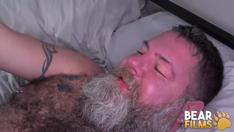 Bear Films: Bearfilms, fetter bär, der Brisket, ohne gummi, Adam Sutherland