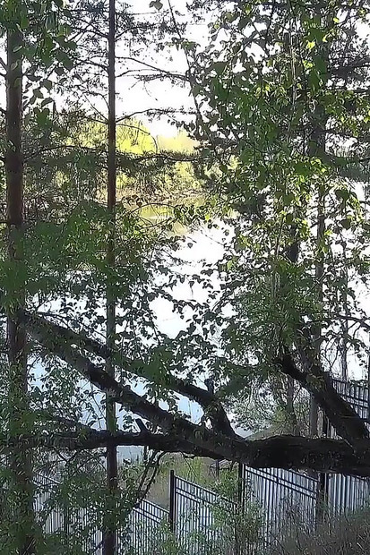 Catching Her Outside