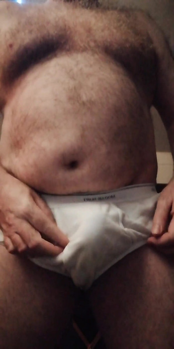 Wanking in My White Fruit of the Loom Briefs UK Hairy Daddy Bear
