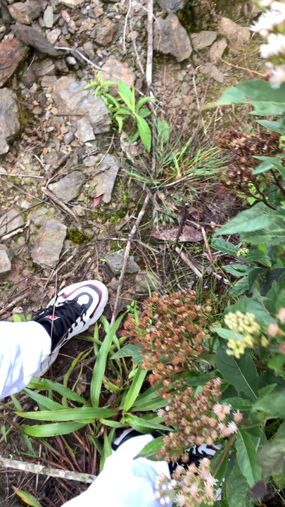 What would you do if you are walking and find me like this?