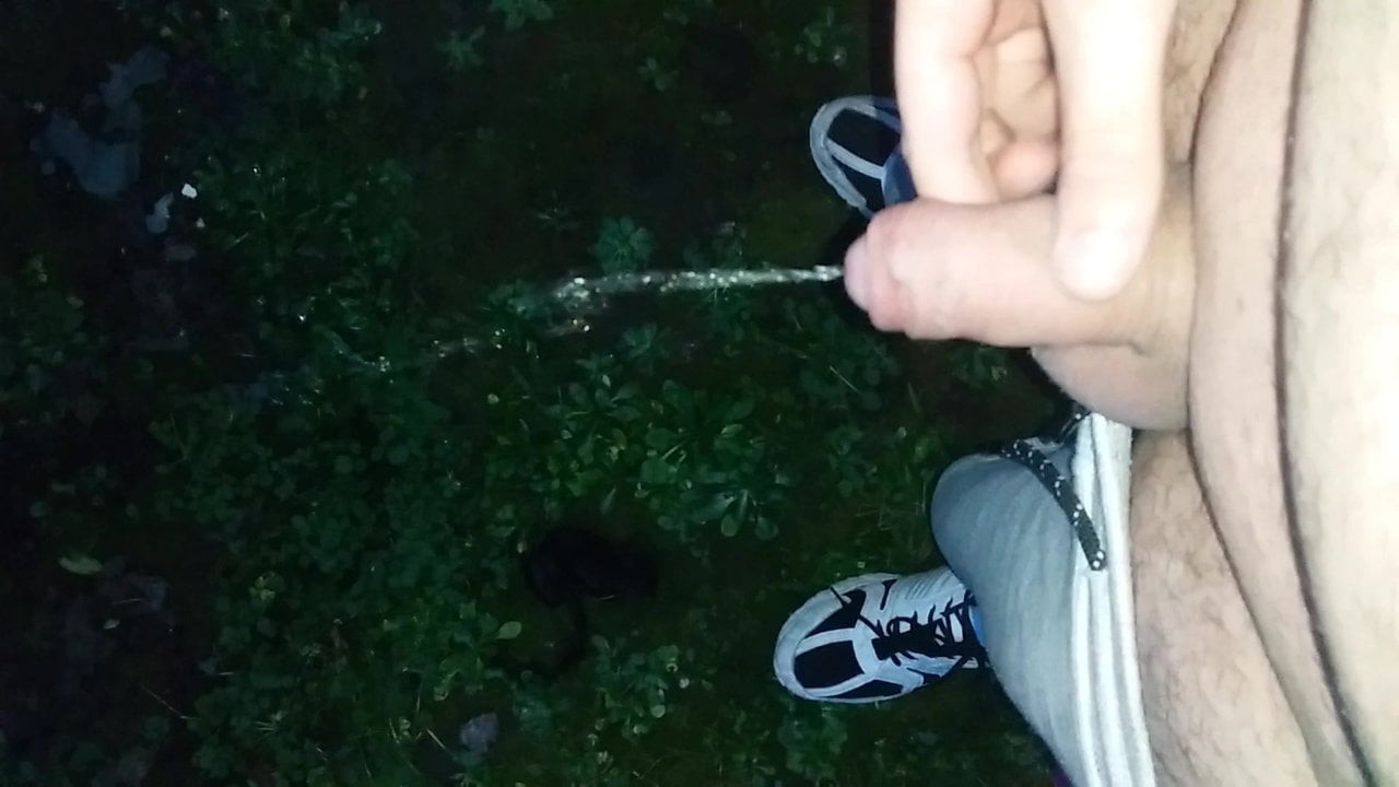 Ich pisste wieder draußen im Freien, schwul