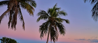 Margaritaville Beach House Key West