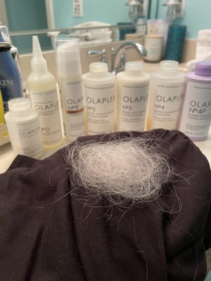 View Gallery Image #5