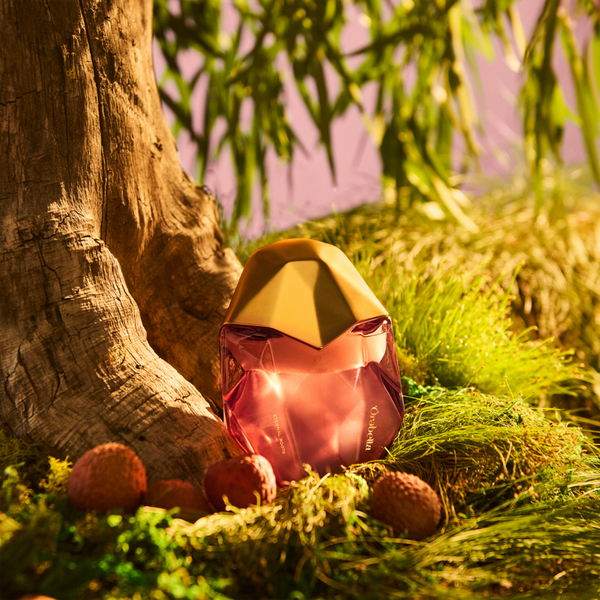 Orebella ETERNAL ROOTS Parfum #6