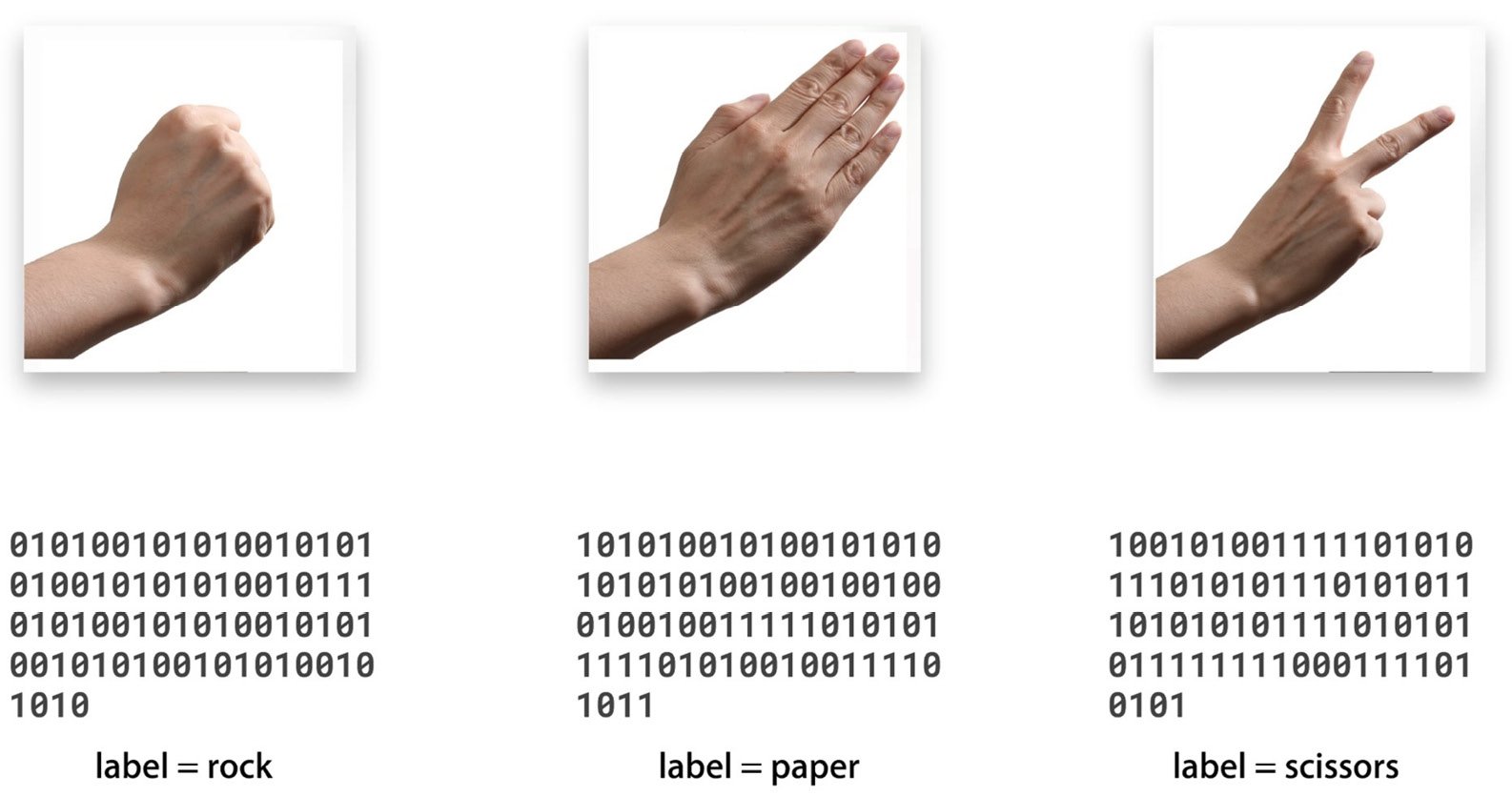 Figure 1.3 – Data and label
