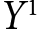 <mml:math xmlns:mml="http://www.w3.org/1998/Math/MathML" xmlns:m="http://schemas.openxmlformats.org/officeDocument/2006/math"><mml:msup><mml:mrow><mml:mi>Y</mml:mi></mml:mrow><mml:mrow><mml:mn>1</mml:mn></mml:mrow></mml:msup></mml:math>