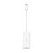 Belkin USB-C to Ethernet adapter, USB-C connector at top, Belkin logo on white case at bottom