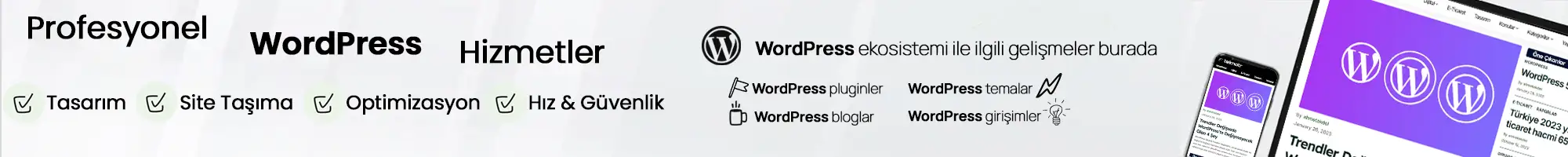 WordPress Web Tasarım