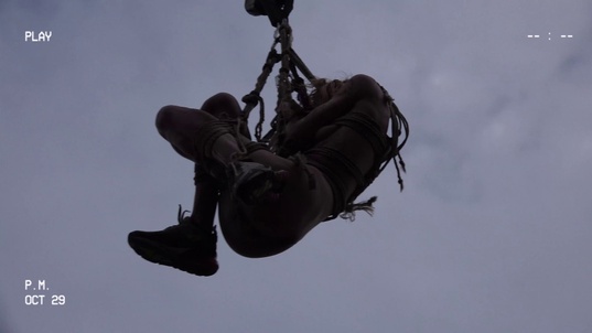 3. Download full pics of Hell on the Crane from dirtysarah.com