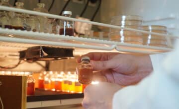 Des déchets biologiques à l’énergie locale : WalBioPower, des résultats concrets pour la transition énergétique