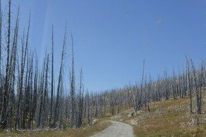 fire5